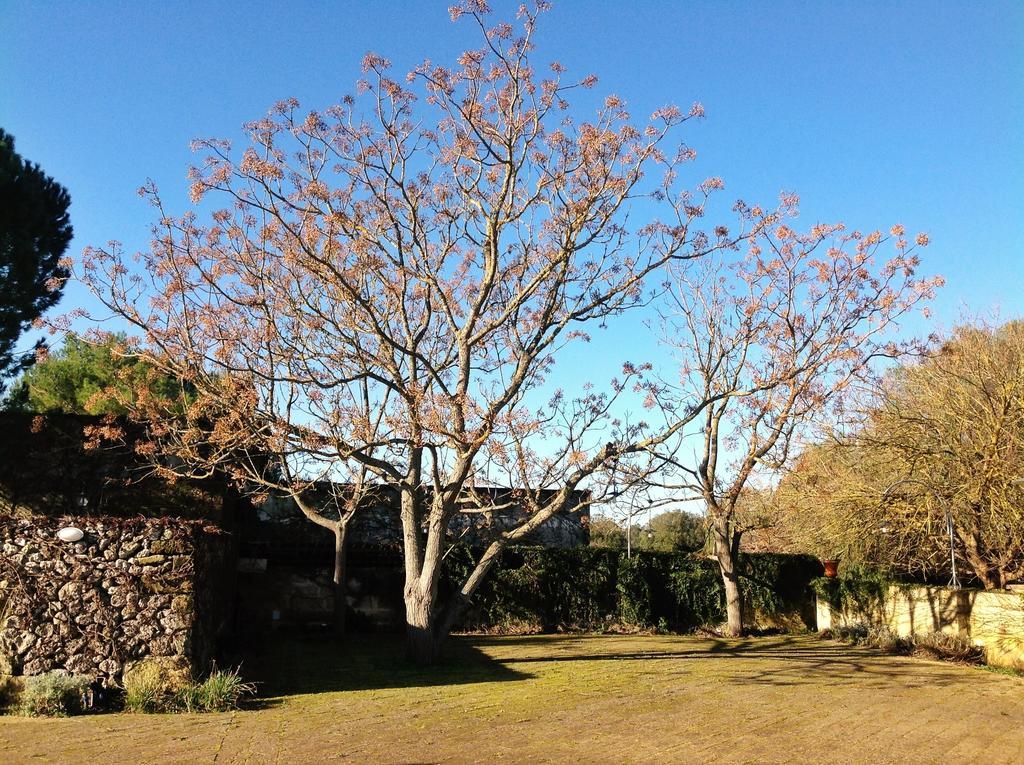 Tenuta Sant'Andrea Giuggianello Luaran gambar